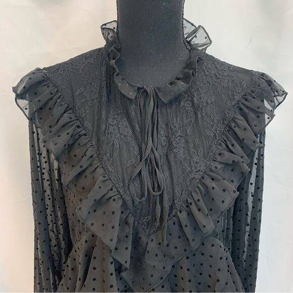 ZARA black mesh polka dot ruffle frill sheer lace long sleeve blouse Sz M - Picture 3 of 11